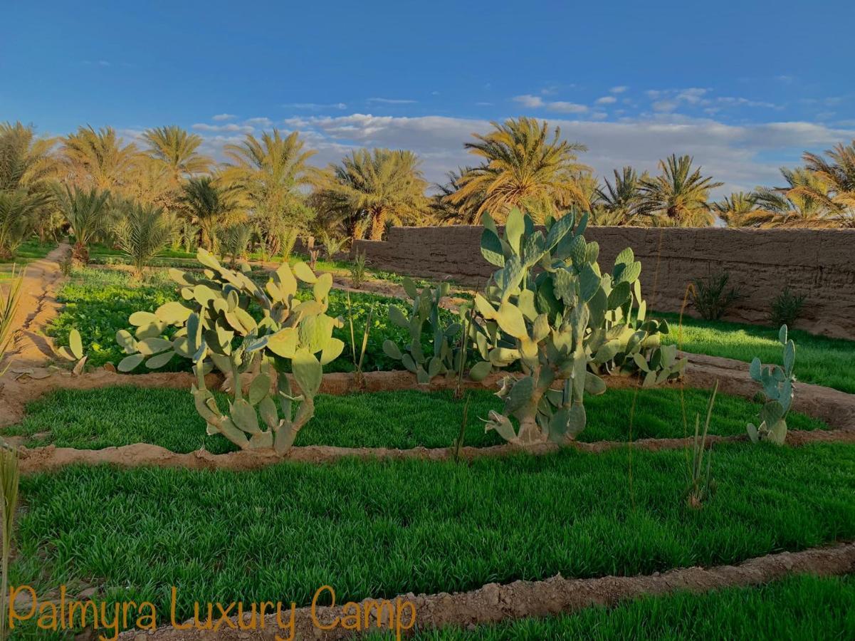 فندق Palmyra Luxury Camp مرزوكة المظهر الخارجي الصورة